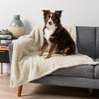 PetAmi Fluffy Waterproof Dog Blanket for Couch and Bed, Reversible Sherpa Pet Throw, Pee Proof Furniture Protector Sofa Cover, Washable Cat Blanket for Small Medium Dogs and Cats (Pink Blush, 24x32) - Image 15