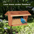 Woodpecker visiting a garden feeder stocked with Kaytee premium bird seed blend.