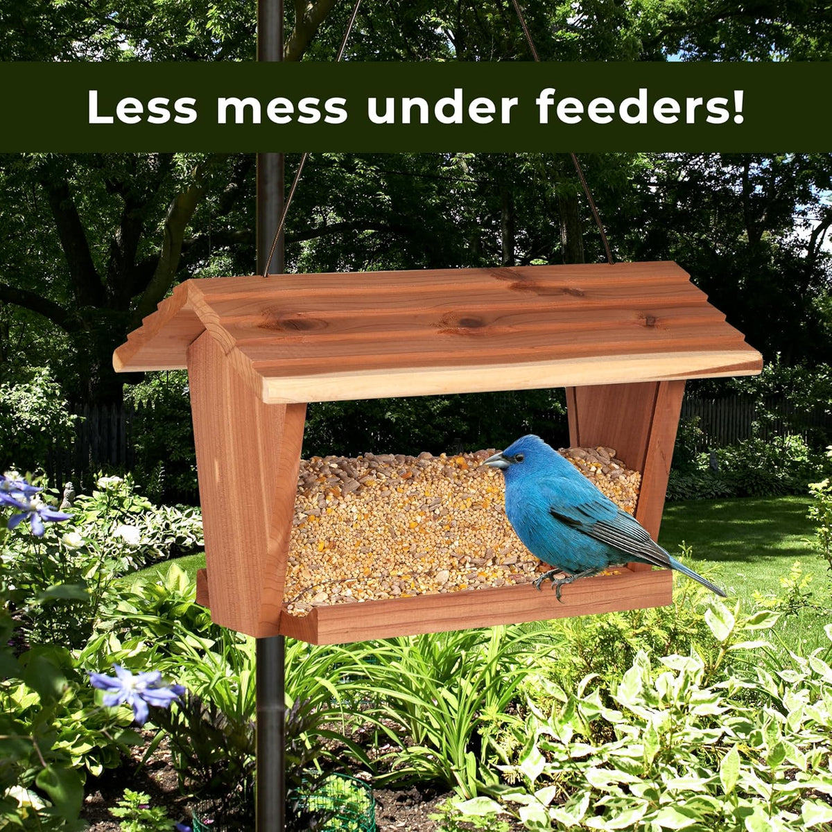 Woodpecker visiting a garden feeder stocked with Kaytee premium bird seed blend.