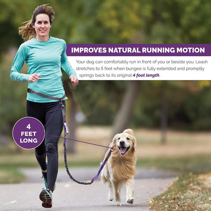 Luminous reflective safety stitching details on the Tuff Mutt hands free waist leash for night visibility.