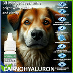 Lubricating Gel Eye Drops 15ml With Hyaluronic Acid 0.25% & L-Carnosine For Pets Cat & Dog Moisturizer Soothes Dryness And Irritation & Itchy, Daily Use To Relieve Dry Eyes Artificial Tears - Image 9