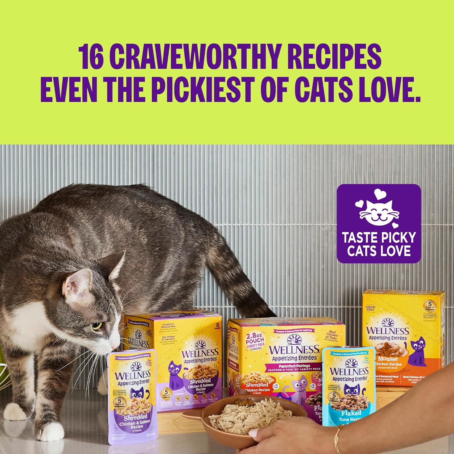 Wellness Appetizing Entres Mousse Adult Wet Cat Food, Natural, Protein Rich, Grain Free, Chicken Recipe, 1.4 oz, Pack of 8 Pouches - Image 9