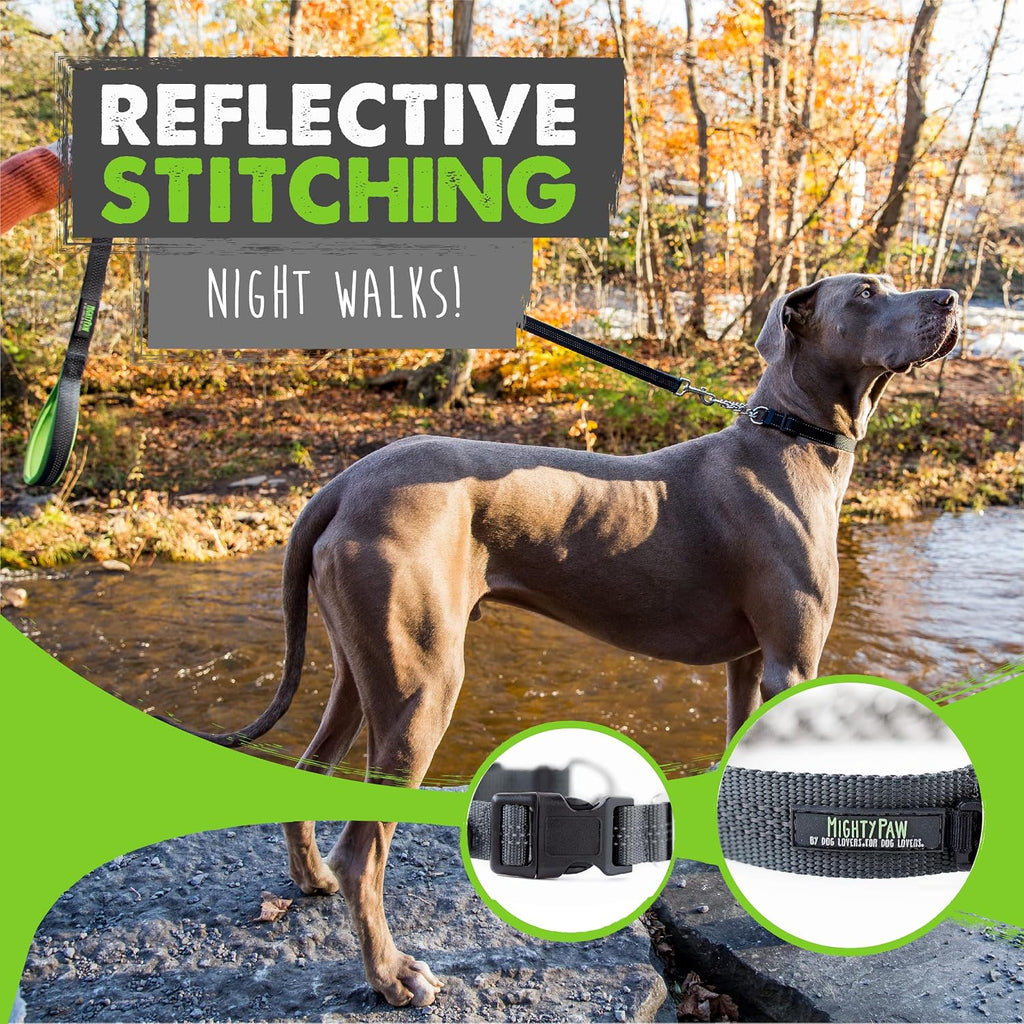 Mighty Paw weather resistant training collar displaying high quality hardware components.