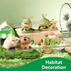 Safe edible barley grass and alfalfa rodent toys for active playtime