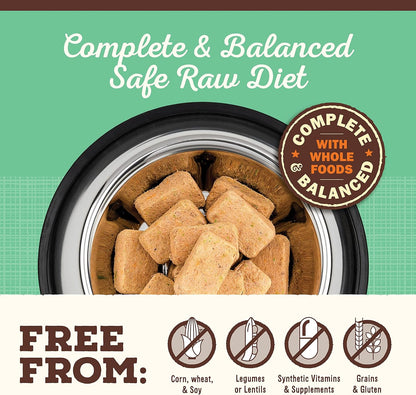 Premium high protein grain free raw dog food nuggets for adult canines