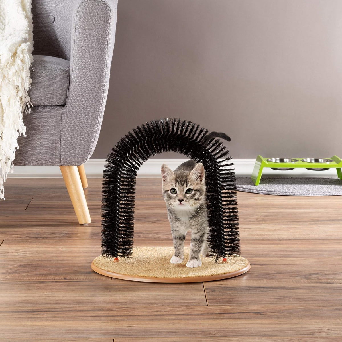 Petmaker cat arch bristle brush close up