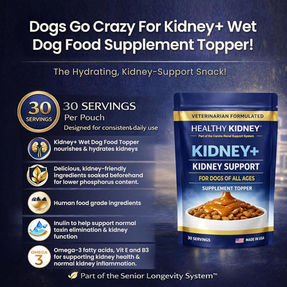 Veterinarian designed kidney rejuvenator for dogs container with prebiotics and fiber