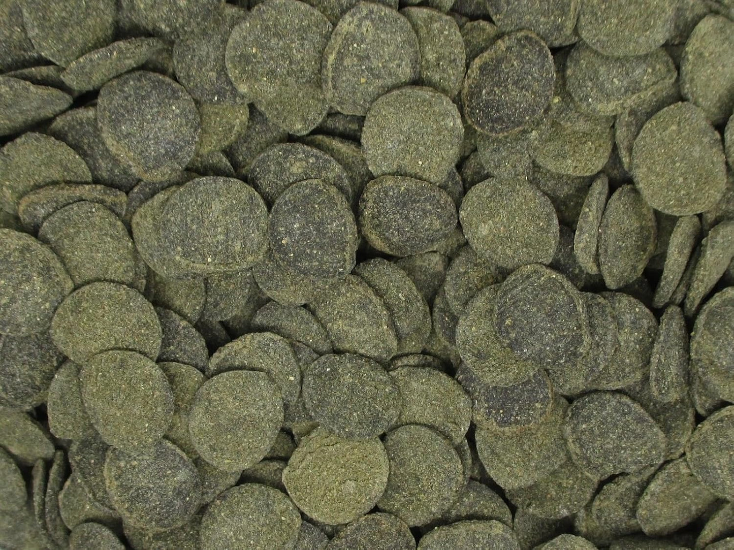 Nutrient-rich mini algae discs for bottom feeding fish and invertebrates