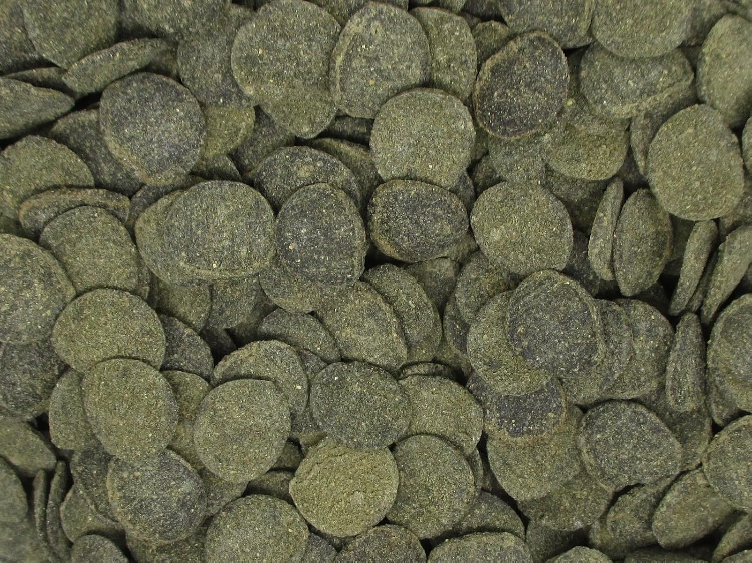Nutrient-rich mini algae discs for bottom feeding fish and invertebrates