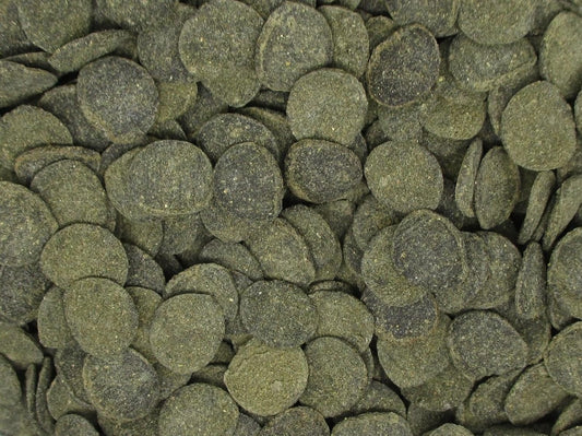 Nutrient-rich mini algae discs for bottom feeding fish and invertebrates