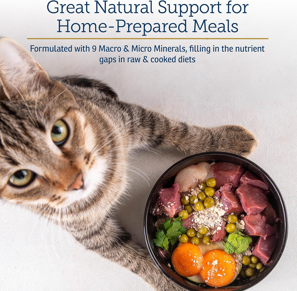 Natural seabed mineral powder supplement for cat home-prepared meals