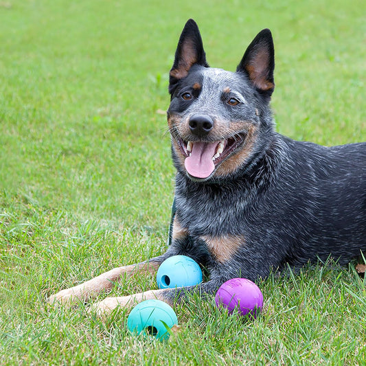 Three pack of Chew King durable rubber dog fetch balls
