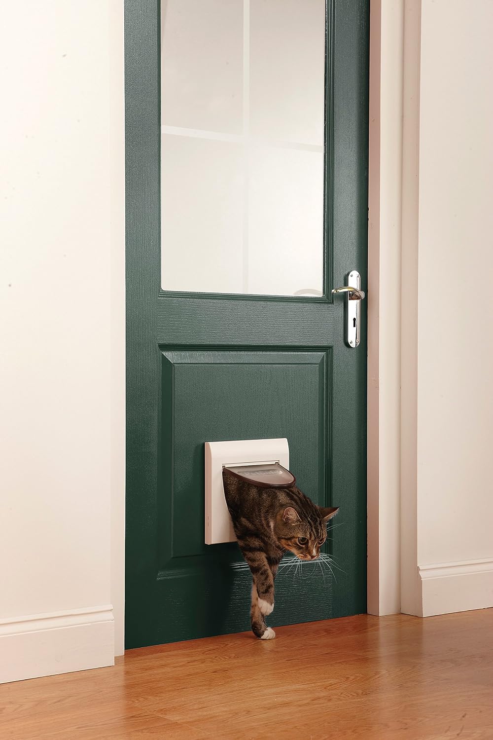 Magnetic collar key pack packaging for cat flaps