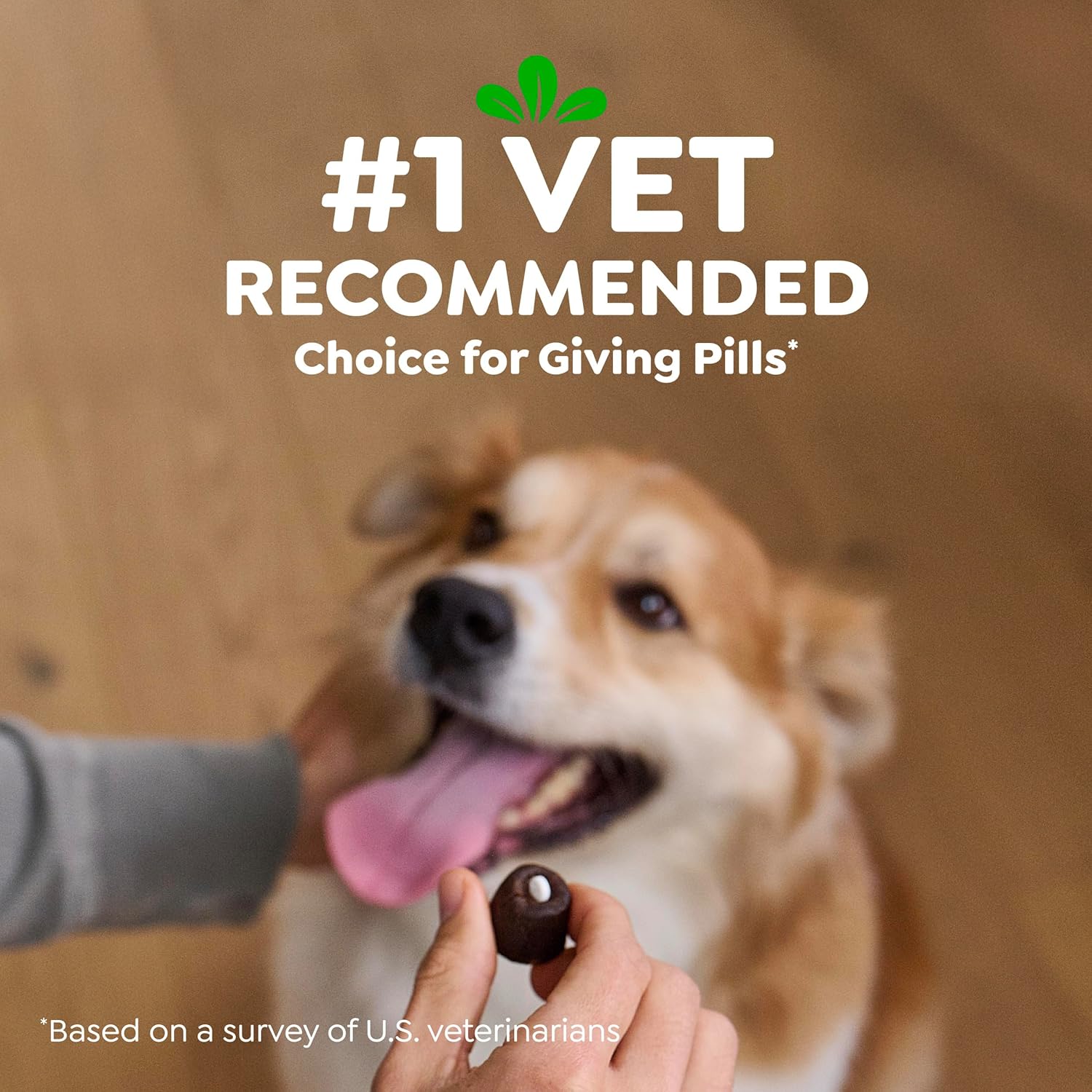 Veterinarian recommended pet health supplies for easy canine pill administration available online.