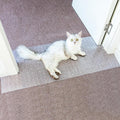 Oroonoko cat carpet protector front view showing clear plastic material for doorway safety.