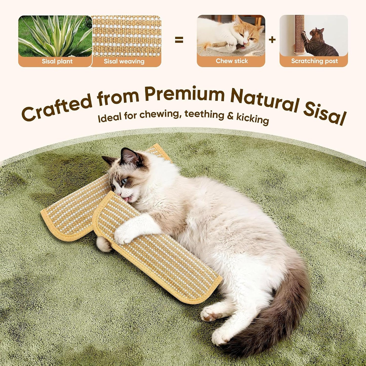 Two pack PetZen Garden interactive catnip toys side by side