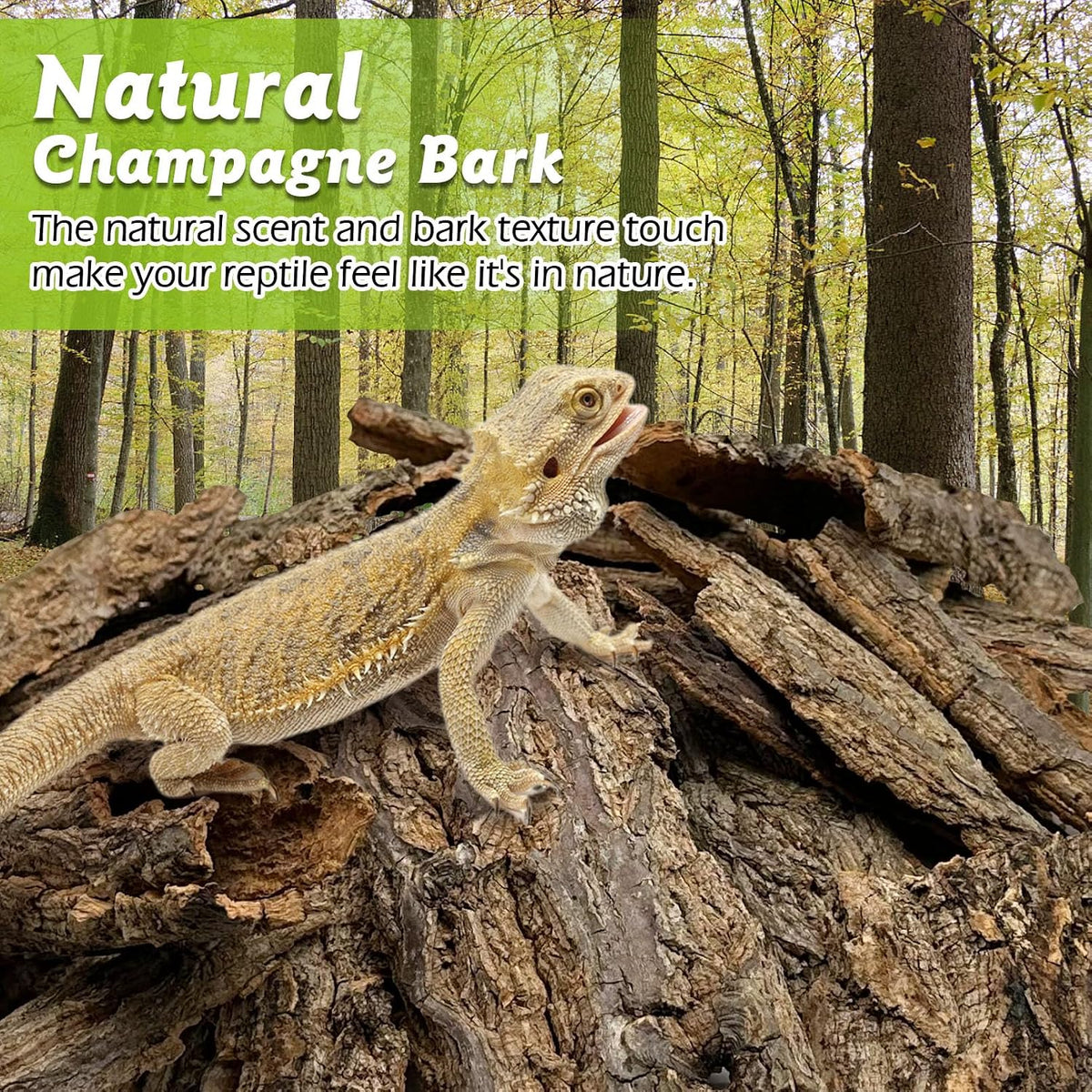 Thick textured reptile bark pieces for DIY terrarium backdrop decoration