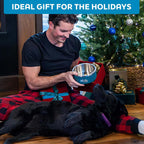 Sleek Black Velvet heavy weighted metal pet feeding dish on kitchen floor