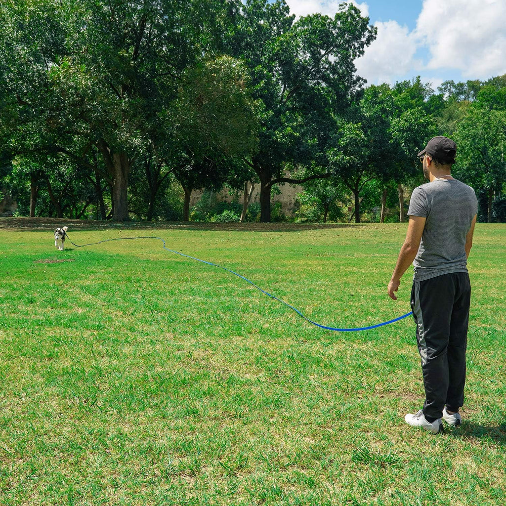 Long line puppy obedience training leash laid out on grass
