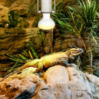 Trakem authentic imported vivarium ceramic light socket packaging contents
