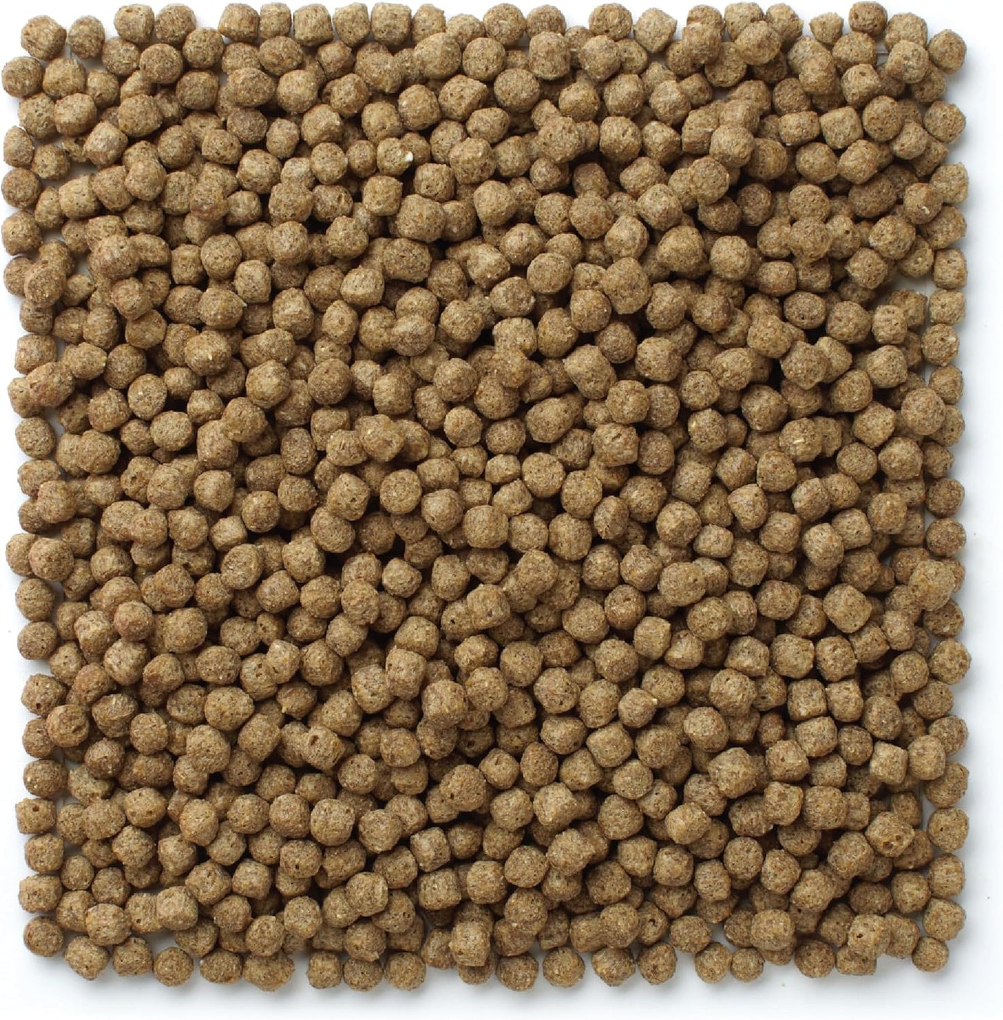 Mazuri Koi Floating Pond Nuggets texture and size reference