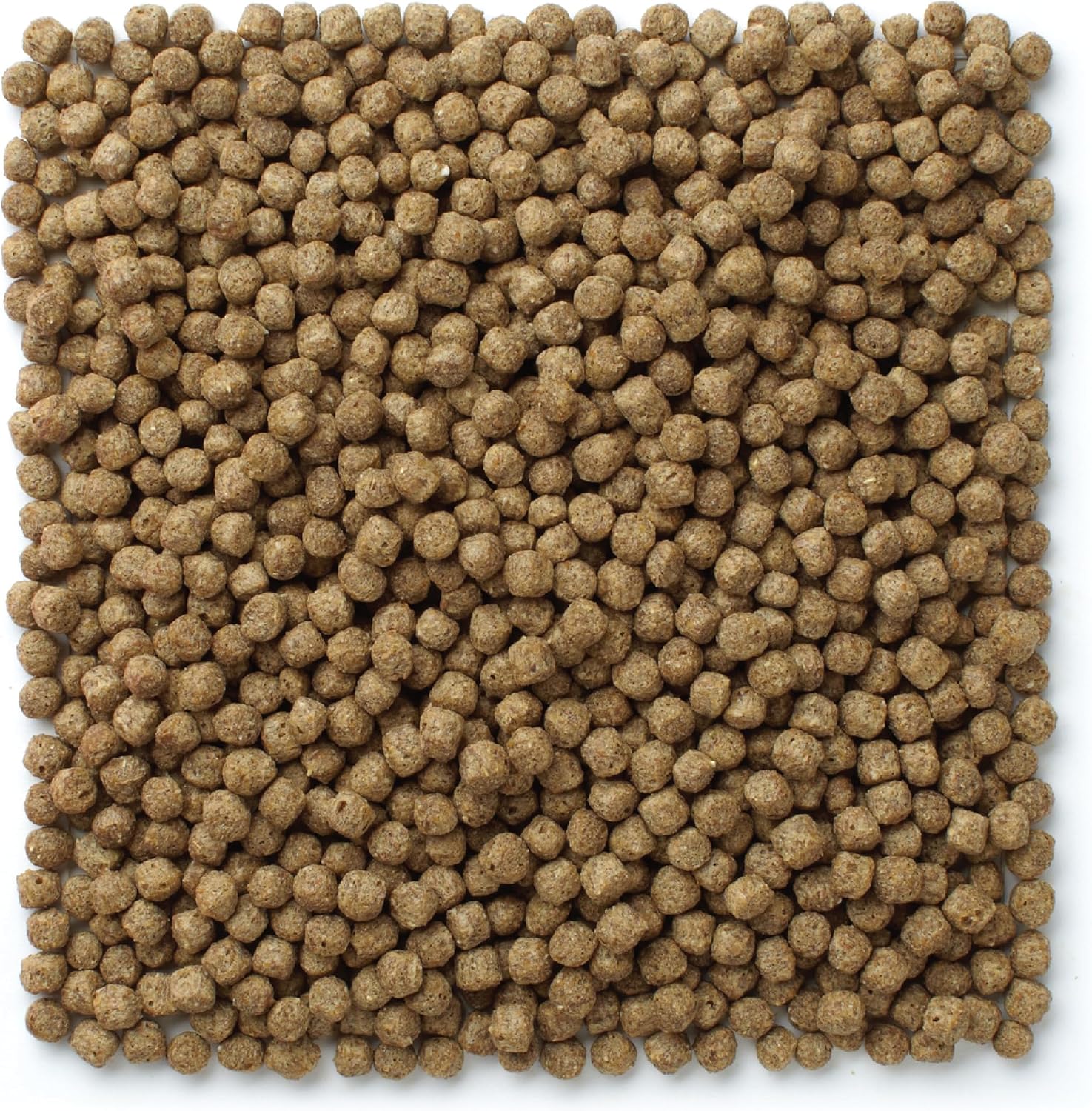 Mazuri Koi Floating Pond Nuggets texture and size reference