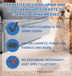 Stink Free pet urine eliminator cap and spray nozzle detail