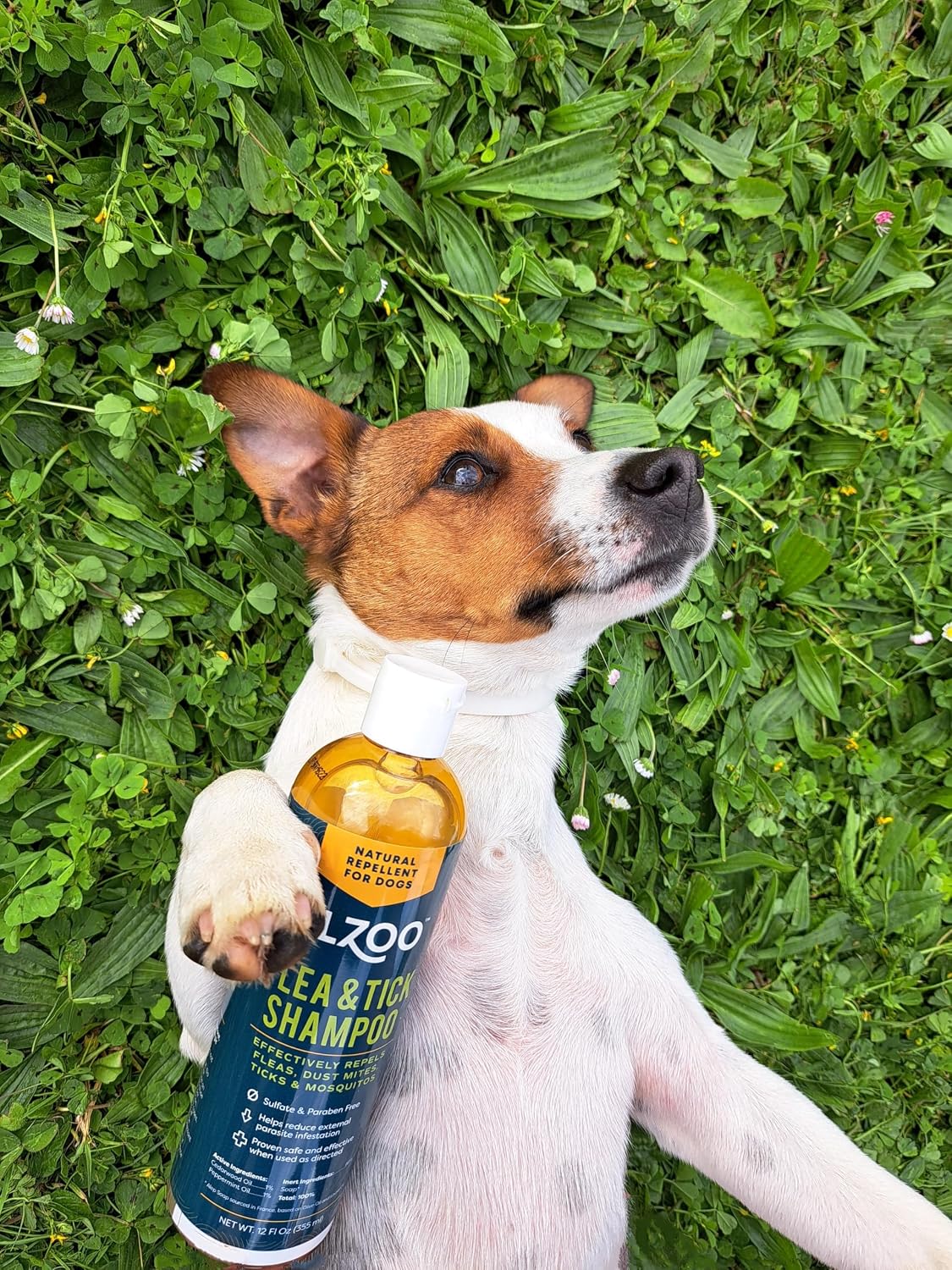 ALZOO twelve fluid ounce botanical dog shampoo for mosquito protection