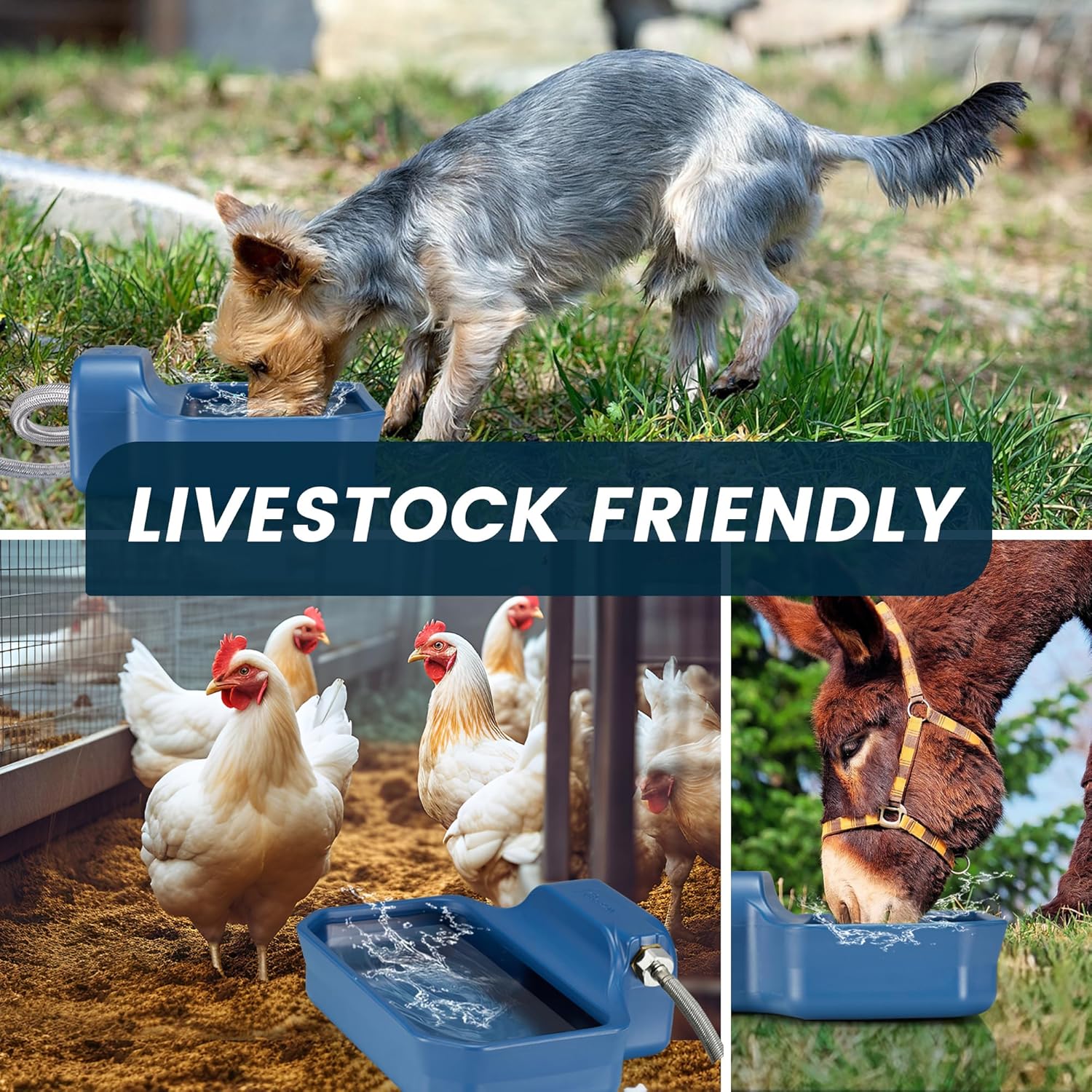 PETIMI one gallon livestock water bowl with automatic float valve assembly