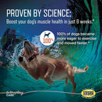 Virbac URSOLYX canine muscle atrophy supplement 60 count bottle