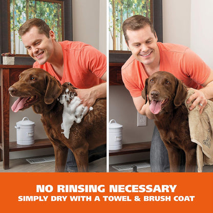 Back label of Wahl lavender and chamomile pet shampoo