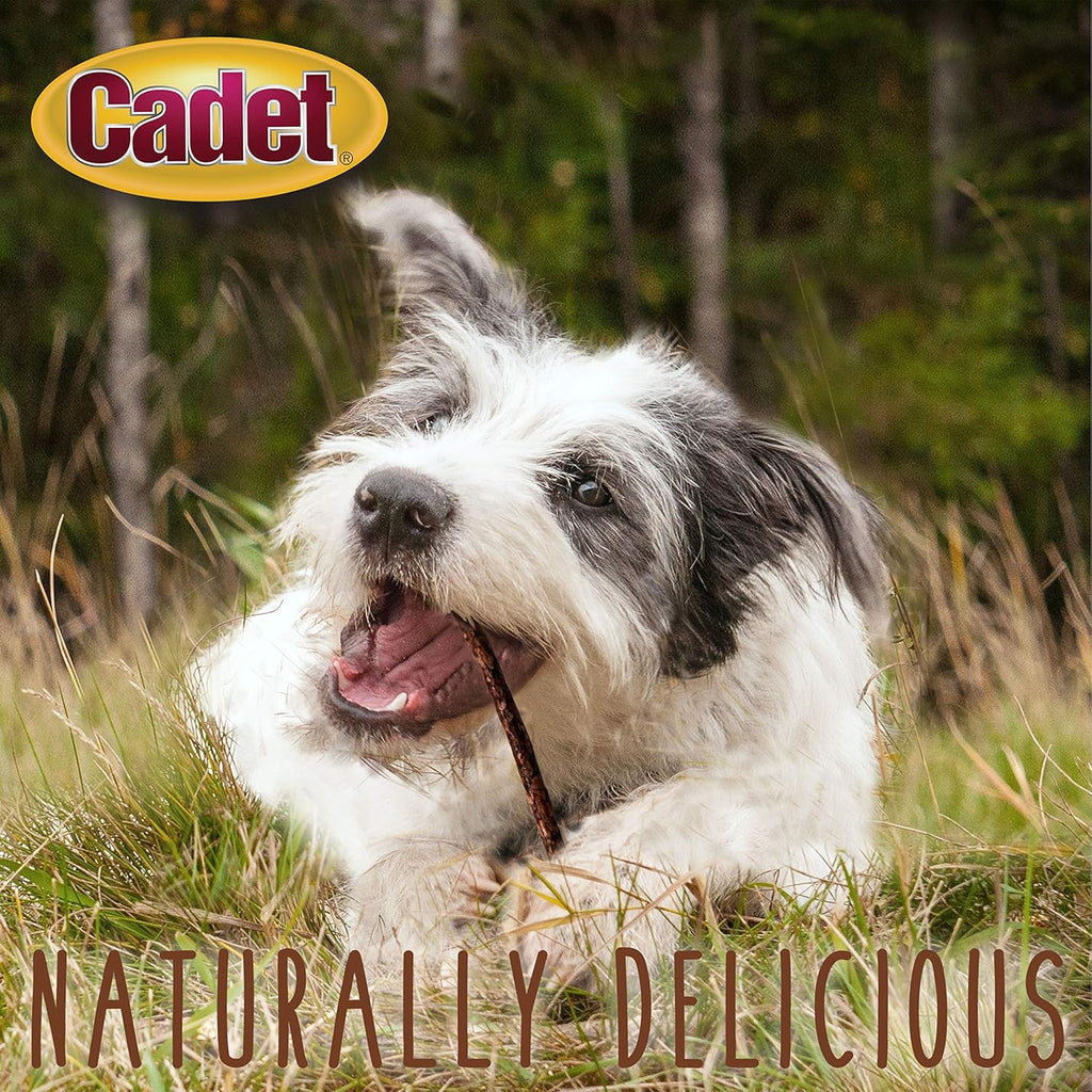 Cadet premium grade rawhide dental care dog sticks packaging back