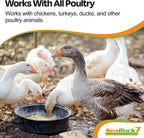 Seabuck7 32 Ounces natural poultry supplement display