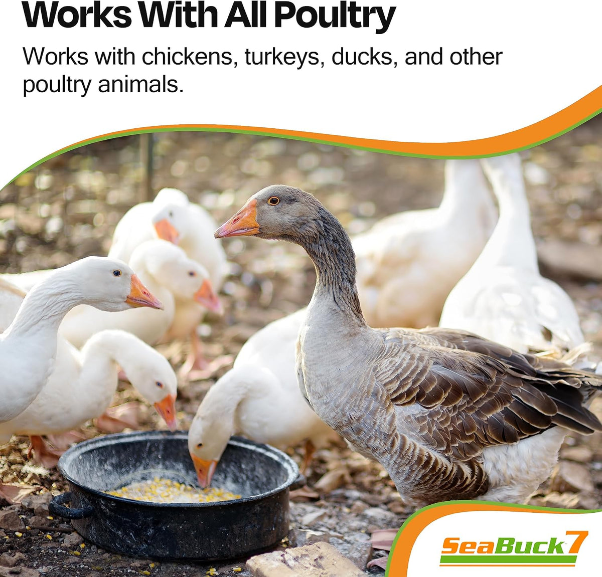 Seabuck7 32 Ounces natural poultry supplement display