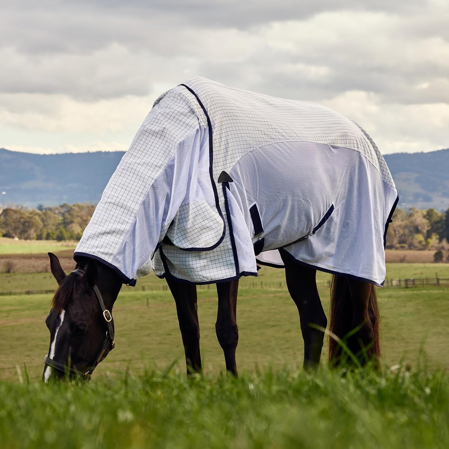 WeatherBeeta 75 inch horse rug showcasing the detachable neck cover extension and secure front closures