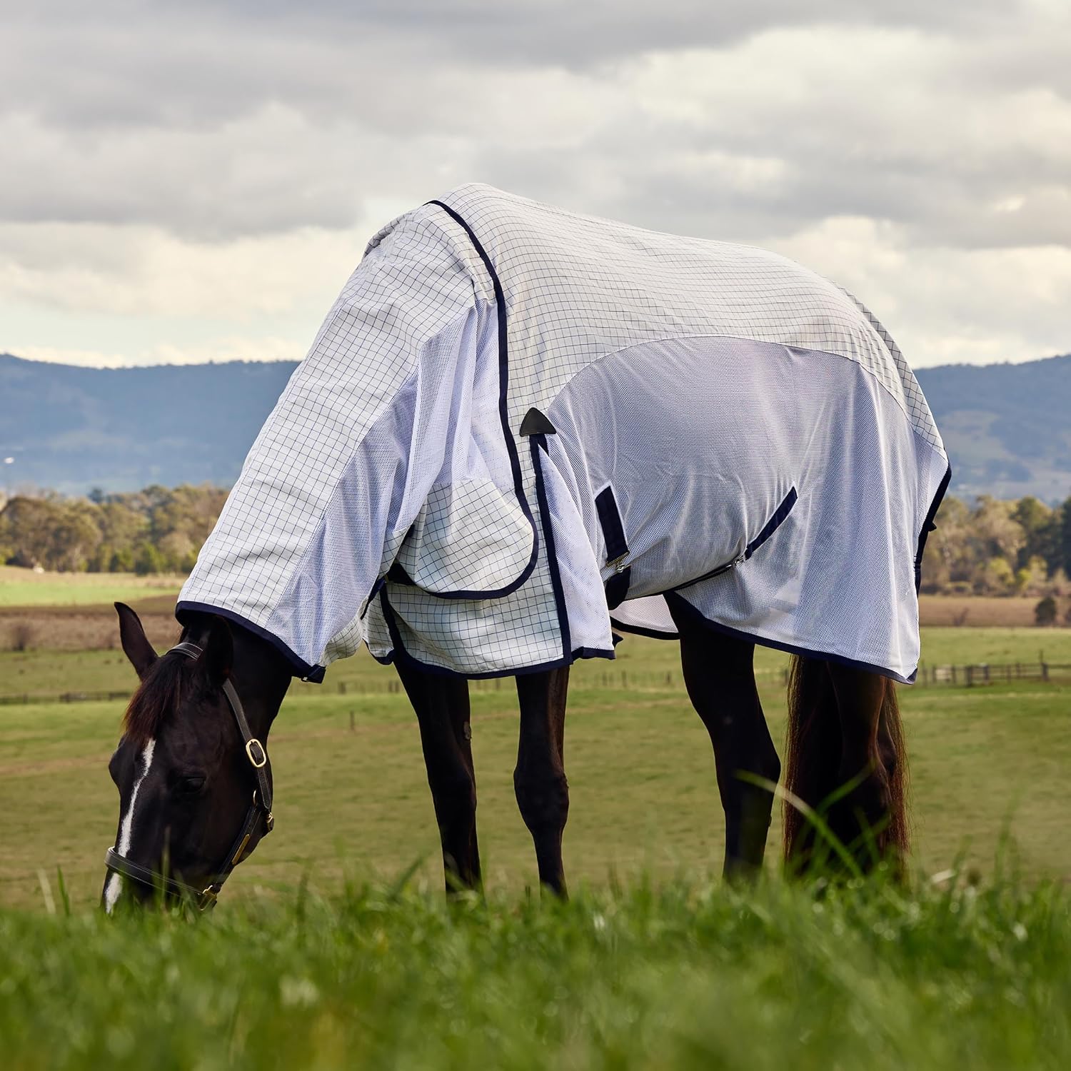 WeatherBeeta 75 inch horse rug showcasing the detachable neck cover extension and secure front closures