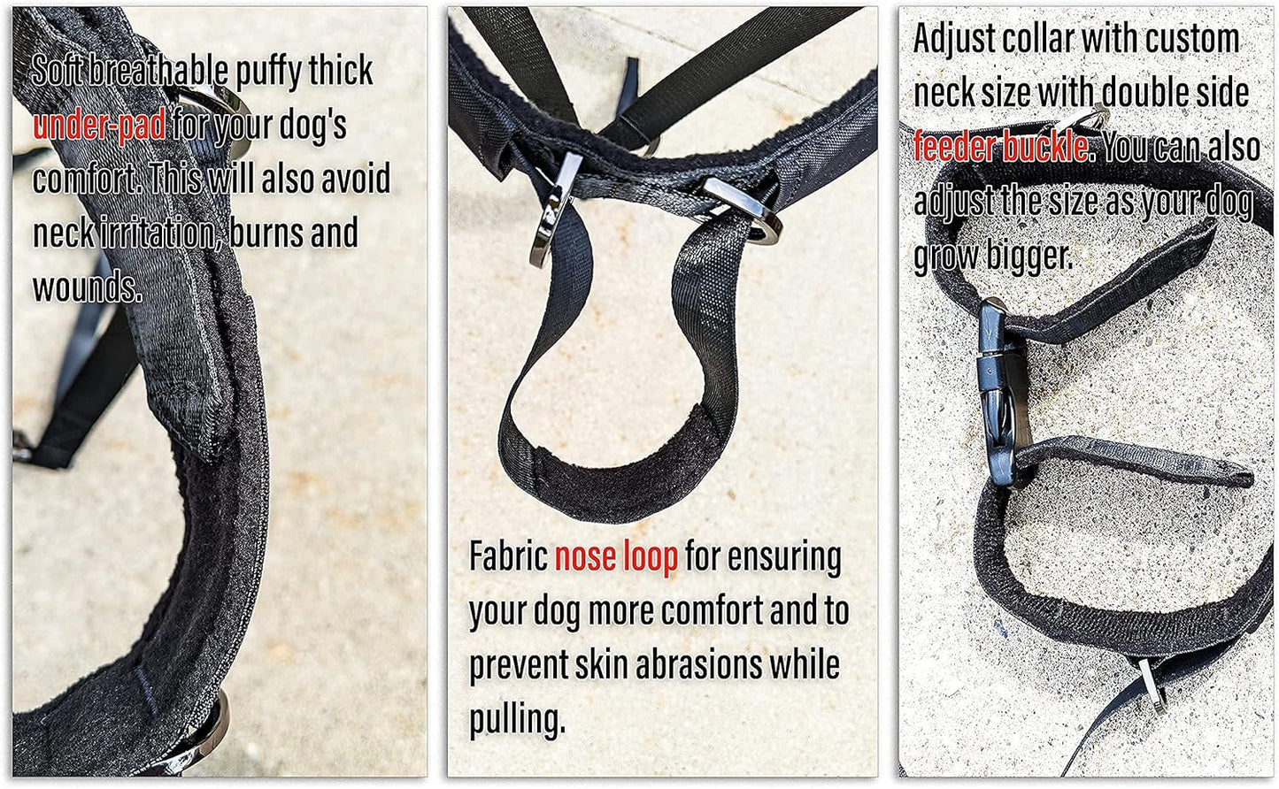 JVA Pro dog training halter with soft padded nose strap detail