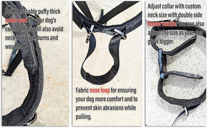 JVA Pro dog training halter with soft padded nose strap detail