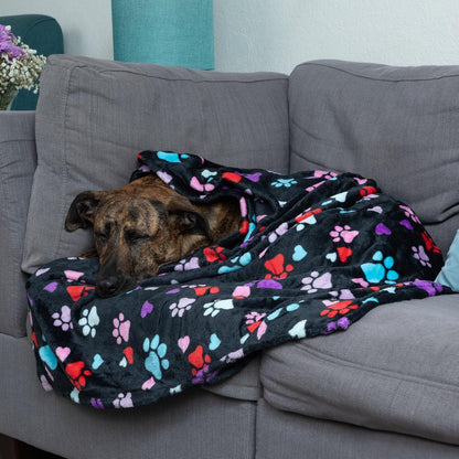 Large soft pet blanket spread out neatly at the foot of a bed.