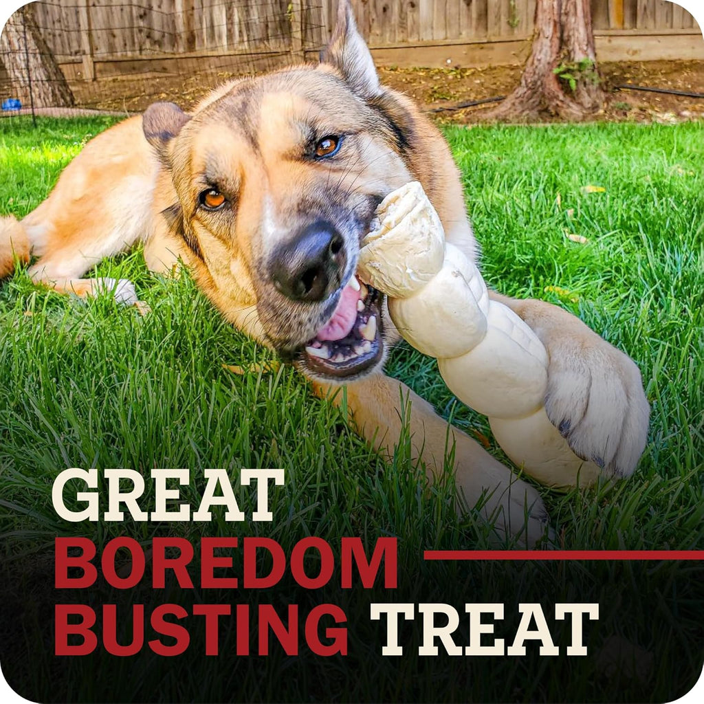 Uncoated single ingredient grain free dog chew treat high in collagen