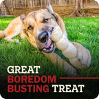 Uncoated single ingredient grain free dog chew treat high in collagen