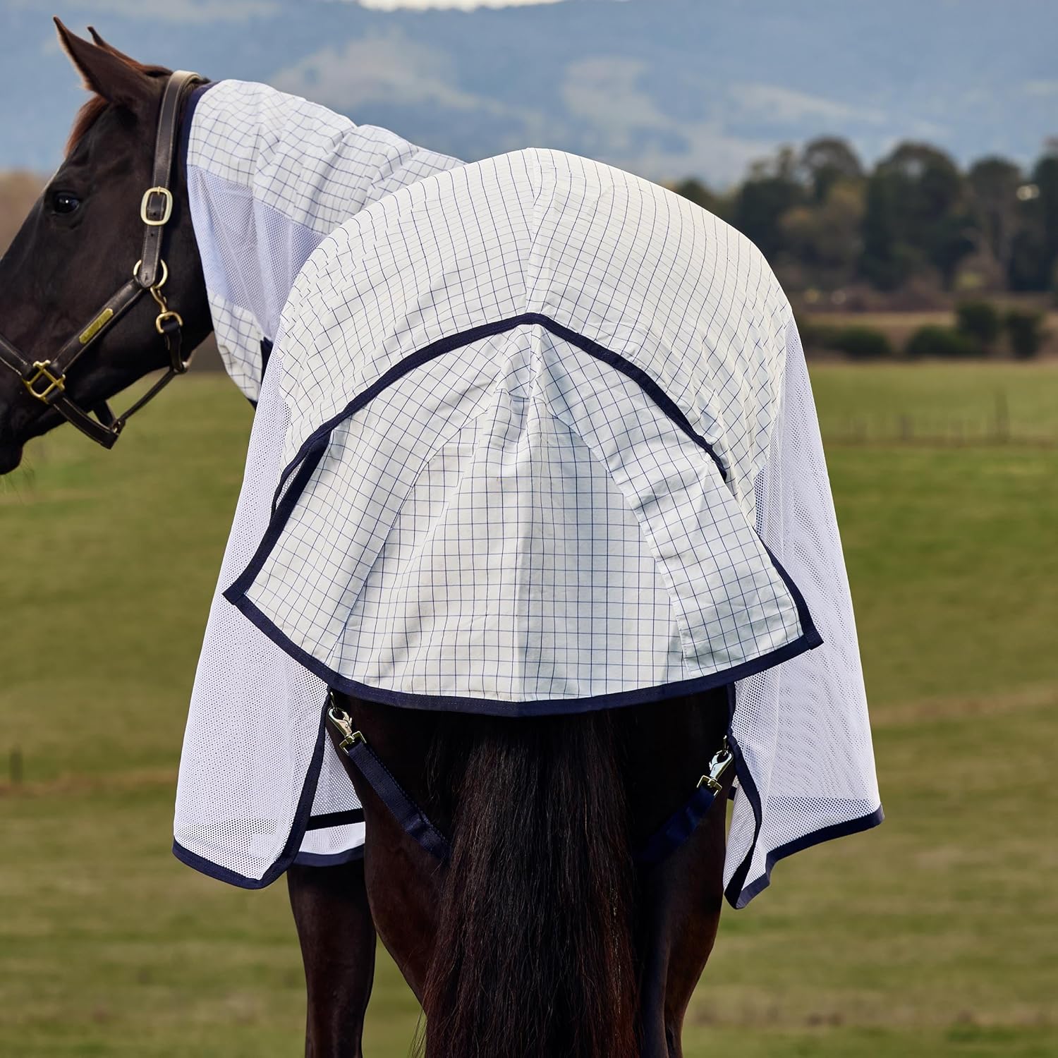 Full view of the WeatherBeeta Airstream white and navy horse turnout sheet on a flat surface