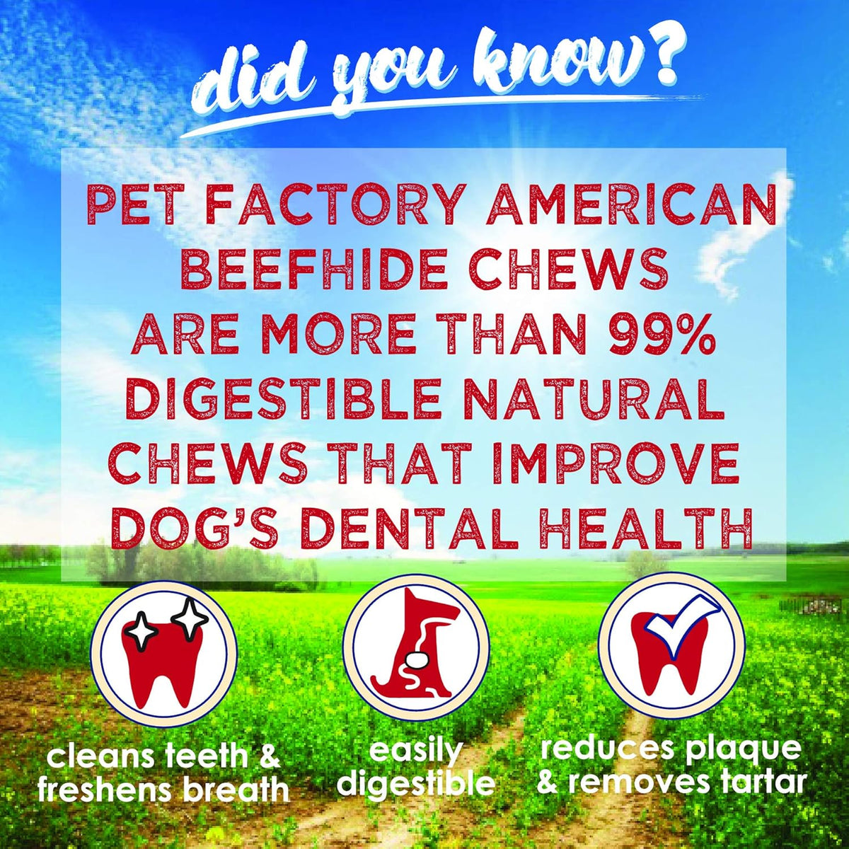 Twelve inch natural flavor rawhide dog chew bone for large breeds.