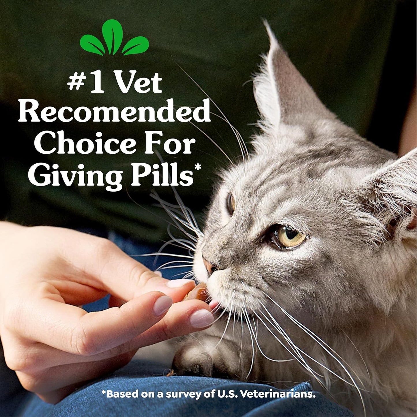 Greenies cat pill pocket demonstrating how to insert a capsule