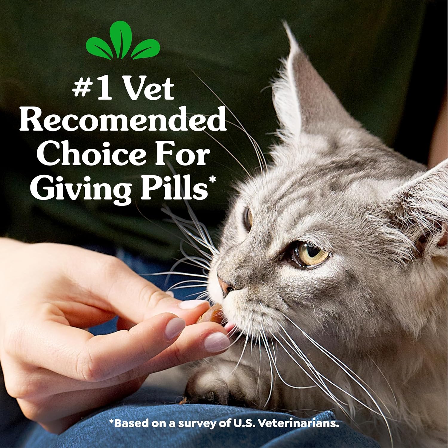Greenies cat pill pocket demonstrating how to insert a capsule