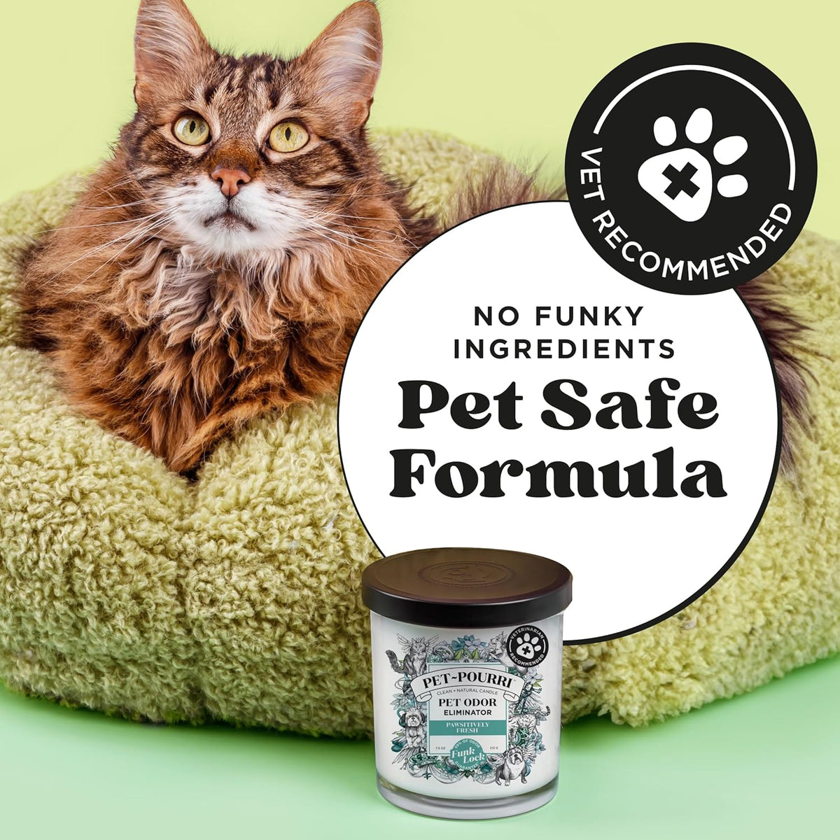 Top view of cotton wick and soy wax Pet-Pourri candle