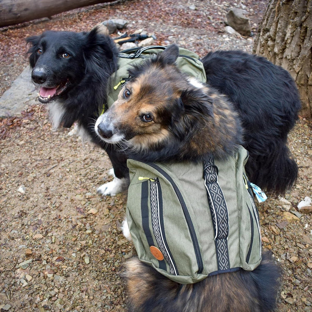 Top grab handle on authentic wilderdog outdoor pet harness pack