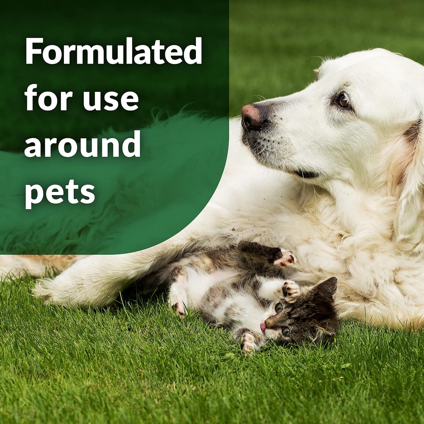 Simple Green gallon jug for pet waste odor control