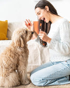Paw Ready dental care toothpaste for dogs and puppies