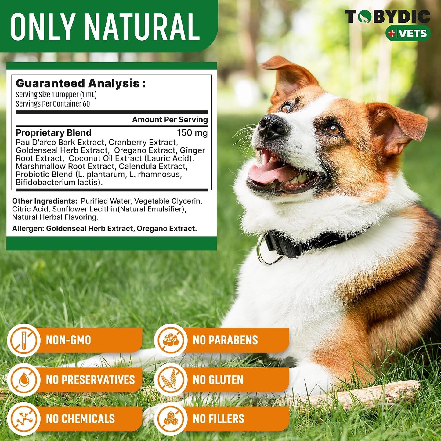 Tobydic pet skin and coat health dietary supplement dropper administration view